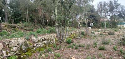 Terrain à Montfort-sur-Argens en Var (83) de 1200 m² à vendre au prix de 145000€ - 2