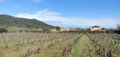 Terrain à Gonfaron en Var (83) de 450 m² à vendre au prix de 127000€ - 3