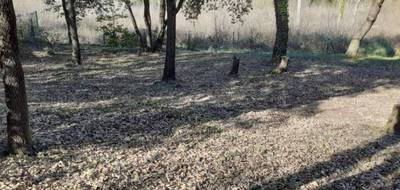 Terrain à Pourrières en Var (83) de 804 m² à vendre au prix de 180000€ - 3