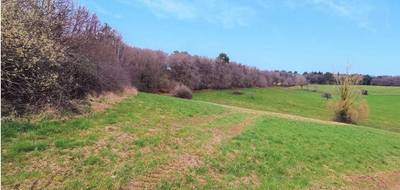 Terrain à Cublac en Corrèze (19) de 4900 m² à vendre au prix de 29500€ - 4