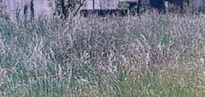Terrain et maison à Grez-sur-Loing en Seine-et-Marne (77) de 109 m² à vendre au prix de 295000€ - 3