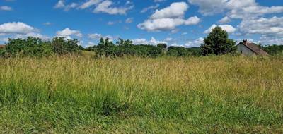 Terrain à Branceilles en Corrèze (19) de 1200 m² à vendre au prix de 26000€ - 3