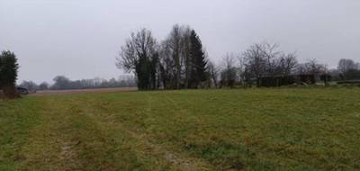 Terrain et maison à Moyaux en Calvados (14) de 229 m² à vendre au prix de 526500€ - 4