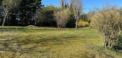 Terrain et maison à Faremoutiers en Seine-et-Marne (77) de 125 m² à vendre au prix de 399000€ - 3