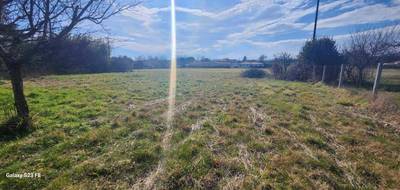 Terrain à Sémalens en Tarn (81) de 980 m² à vendre au prix de 65000€ - 2