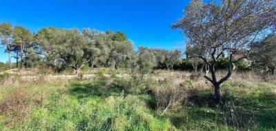 Terrain à Bagnols-en-Forêt en Var (83) de 1800 m² à vendre au prix de 230000€ - 4