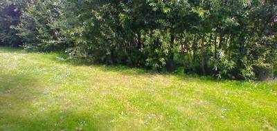 Terrain et maison à Mennecy en Essonne (91) de 90 m² à vendre au prix de 349000€ - 3