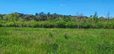 Terrain à Tourves en Var (83) de 1000 m² à vendre au prix de 142000€ - 2