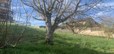 Terrain et maison à Frouzins en Haute-Garonne (31) de 100 m² à vendre au prix de 354000€ - 4