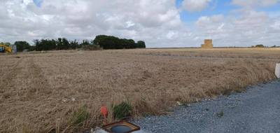 Terrain et maison à Dompierre-sur-Mer en Charente-Maritime (17) de 125 m² à vendre au prix de 622511€ - 4