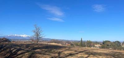 Terrain et maison à Banyuls-dels-Aspres en Pyrénées-Orientales (66) de 90 m² à vendre au prix de 358000€ - 4