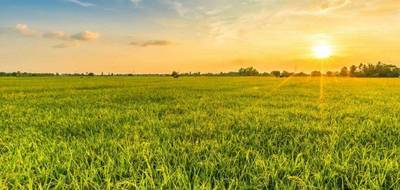 Terrain et maison à Villedoux en Charente-Maritime (17) de 90 m² à vendre au prix de 250710€ - 4