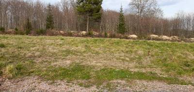 Terrain à Feytiat en Haute-Vienne (87) de 723 m² à vendre au prix de 90000€ - 1