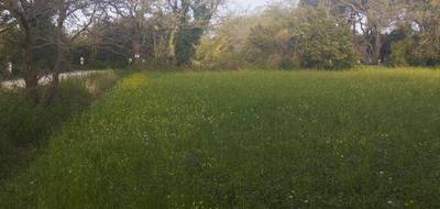 Terrain et maison à Istres en Bouches-du-Rhône (13) de 77 m² à vendre au prix de 351000€ - 4