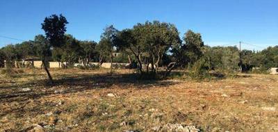 Terrain et maison à Poulx en Gard (30) de 88 m² à vendre au prix de 224300€ - 3