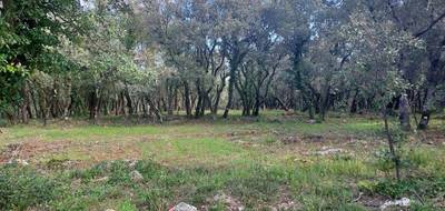 Terrain à Sainte-Anastasie-sur-Issole en Var (83) de 957 m² à vendre au prix de 161000€ - 1