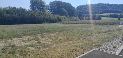 Terrain et maison à Menneville en Pas-de-Calais (62) de 93 m² à vendre au prix de 219590€ - 4