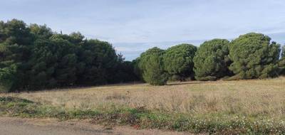 Terrain à Autignac en Hérault (34) de 350 m² à vendre au prix de 80000€ - 2