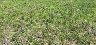 Terrain à Carlux en Dordogne (24) de 1640 m² à vendre au prix de 35000€ - 2
