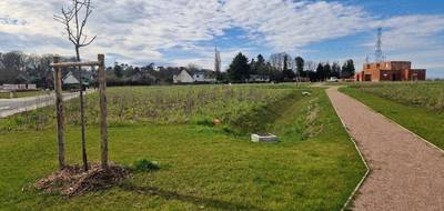 Terrain à Montigny en Seine-Maritime (76) de 748 m² à vendre au prix de 135950€ - 3