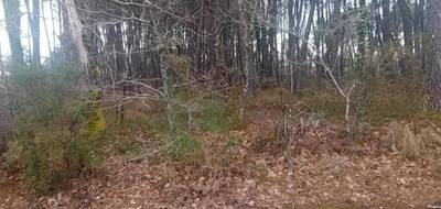 Terrain à Salles en Gironde (33) de 358 m² à vendre au prix de 159000€ - 2