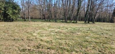 Terrain à Gamarde-les-Bains en Landes (40) de 2000 m² à vendre au prix de 140000€ - 1