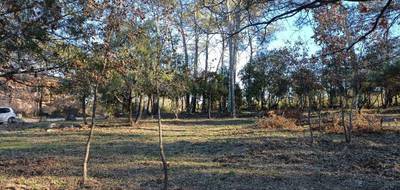 Terrain et maison à Le Thoronet en Var (83) de 150 m² à vendre au prix de 460000€ - 4