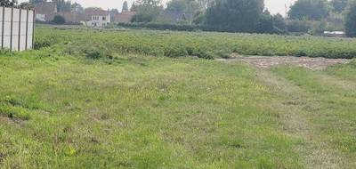 Terrain à Audruicq en Pas-de-Calais (62) de 440 m² à vendre au prix de 84000€ - 1