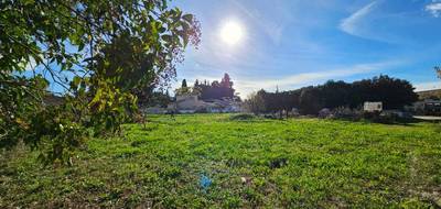Terrain à Cheval-Blanc en Vaucluse (84) de 580 m² à vendre au prix de 180000€ - 1