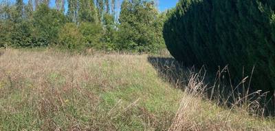 Terrain et maison à Jury en Moselle (57) de 120 m² à vendre au prix de 389000€ - 3