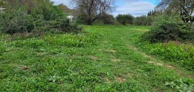 Terrain et maison à Yvetot en Seine-Maritime (76) de 110 m² à vendre au prix de 237146€ - 3