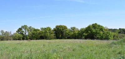 Terrain et maison à Galargues en Hérault (34) de 125 m² à vendre au prix de 412000€ - 4