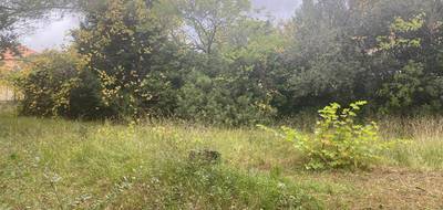 Terrain et maison à Cuers en Var (83) de 83 m² à vendre au prix de 361000€ - 4