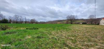 Terrain et maison à Cadalen en Tarn (81) de 145 m² à vendre au prix de 316000€ - 3