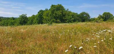 Terrain à Gauriaguet en Gironde (33) de 1140 m² à vendre au prix de 83000€ - 1