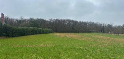 Terrain et maison à Boissy-sous-Saint-Yon en Essonne (91) de 175 m² à vendre au prix de 697211€ - 3