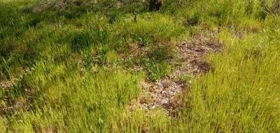 Terrain à Ychoux en Landes (40) de 750 m² à vendre au prix de 95000€ - 2