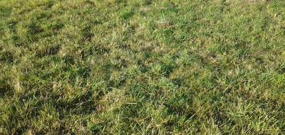Terrain et maison à Masseube en Gers (32) de 90 m² à vendre au prix de 230000€ - 3