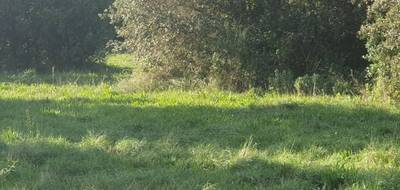 Terrain à Saint-Siffret en Gard (30) de 500 m² à vendre au prix de 125000€ - 1