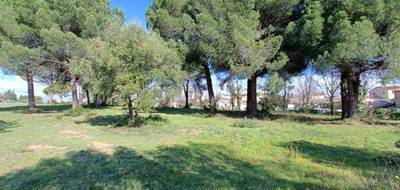 Terrain à Le Muy en Var (83) de 1018 m² à vendre au prix de 245000€ - 4