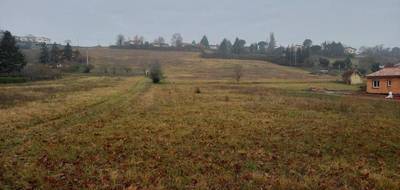 Terrain et maison à Rabastens en Tarn (81) de 112 m² à vendre au prix de 251000€ - 4