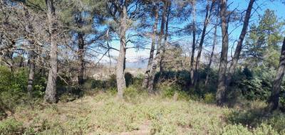 Terrain à Plan-d'Aups-Sainte-Baume en Var (83) de 296 m² à vendre au prix de 146500€ - 1
