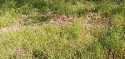 Terrain à Andernos-les-Bains en Gironde (33) de 501 m² à vendre au prix de 287750€ - 3