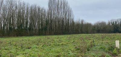 Terrain à Montpellier-de-Médillan en Charente-Maritime (17) de 800 m² à vendre au prix de 56000€ - 2