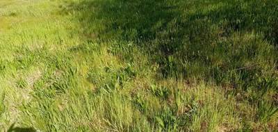 Terrain à Lanton en Gironde (33) de 341 m² à vendre au prix de 175000€ - 3