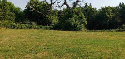 Terrain et maison à Avrillé-les-Ponceaux en Indre-et-Loire (37) de 89 m² à vendre au prix de 195037€ - 3