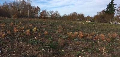 Terrain et maison à Mestes en Corrèze (19) de 89 m² à vendre au prix de 174009€ - 4