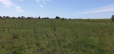 Terrain à Paraza en Aude (11) de 431 m² à vendre au prix de 59000€ - 1