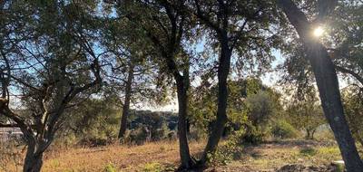 Terrain à Saint-Gilles en Gard (30) de 400 m² à vendre au prix de 110900€ - 1