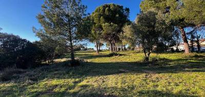 Terrain à Le Muy en Var (83) de 1018 m² à vendre au prix de 235000€ - 3